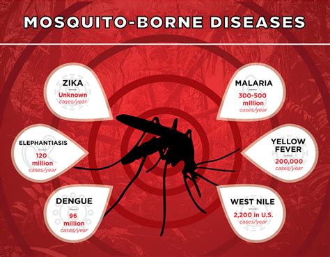 Mosquitoes Worlds Deadliest Animal Ip Global Holdings Pte Ltd