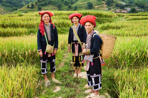 Vietnam A Taste Of Village Life In The North Travel Associates
