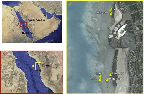 Satellite Map Of The Red Sea And Detail Of A Saudi