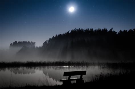 Wallpaper Trees Landscape Forest Night Lake Water