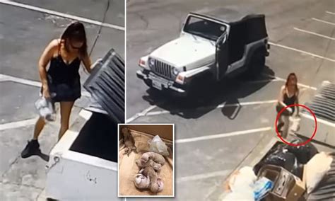 Sickening Moment Woman Is Caught On Surveillance Footage Dumping Seven Newborn Puppies In The