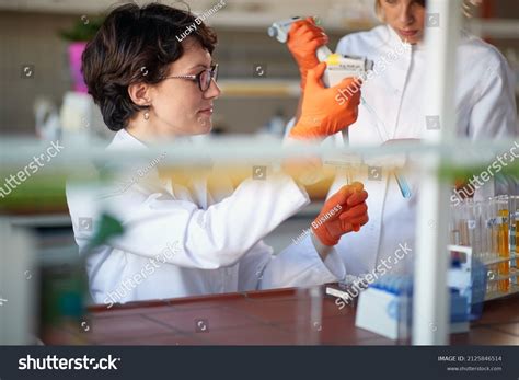 Young Female Students Pipetting Sterile Laboratory Stock Photo