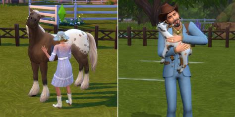 The Sims 4 Horse Ranch How To Host A Ranch Animal Day