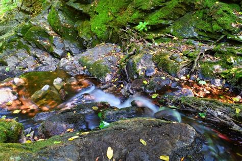 Stream In Green Moss Stones Free Image Download