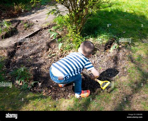 Young Boy Digging In Garden England Uk Stock Photo Alamy