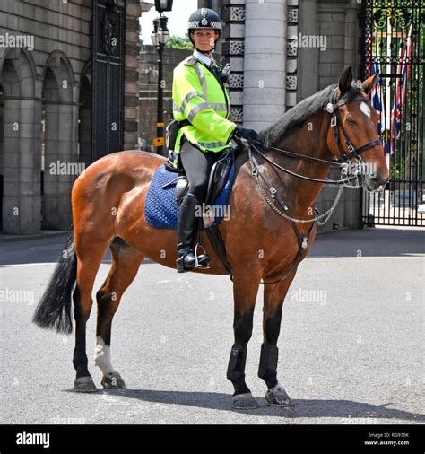 Female London Wpc British Mounted Metropolitan Police Woman Officer