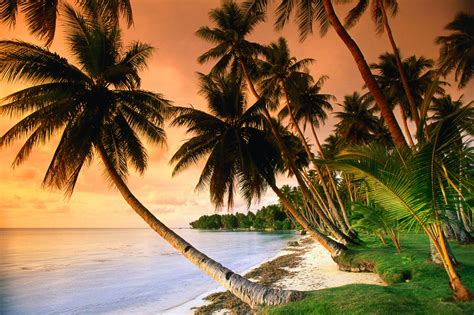 Wallpaper Sunlight Landscape Sunset Sea Nature Beach Caribbean