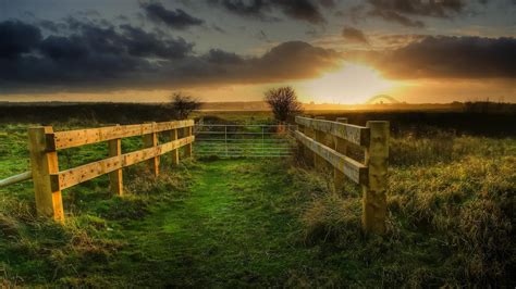 Country Fence Wallpaper 2560x1440 5934
