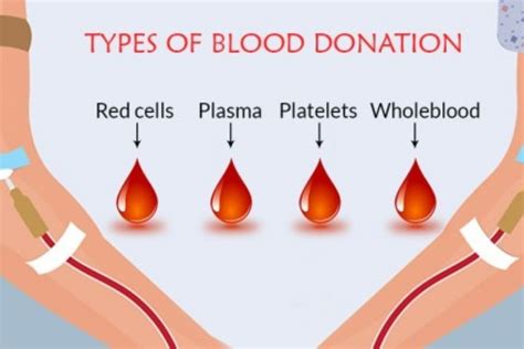 Who Can You Donate Your Blood To