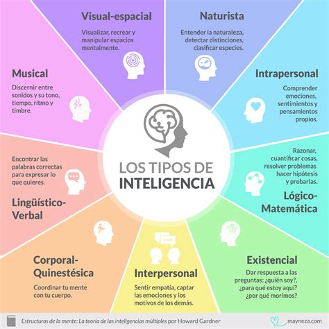 Tipos de Inteligencia según Gardner Infografía Psicologia del aprendizaje Neurociencia y