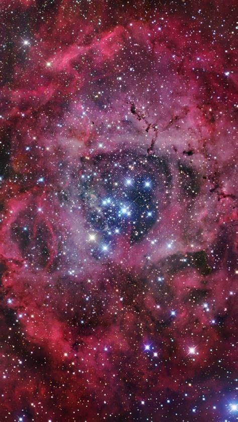 1082x1920 Rosette Nebula 1082x1920 Resolution Wallpaper Hd Space 4k