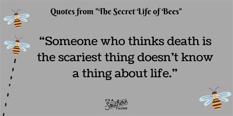 15 The Secret Life Of Bees Quotes We Love Its A Southern Thing