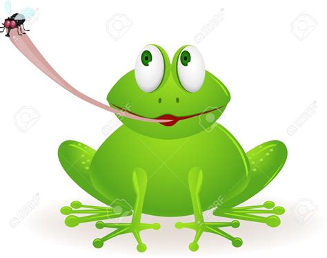 Frog Catching Fly Clipart 10 Free Cliparts Download Images On