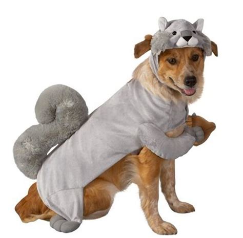 Squirrel Dog Pet Halloween Costume Size X Small Xsmall Ebay