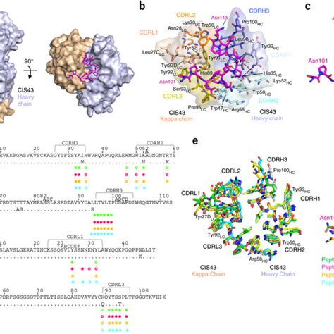 Crystal Structures Of The Cis43 Antigen Binding Fragment In Complex