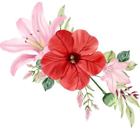 Free Cute Watercolor Flowers 21305522 Png With Transparent Background