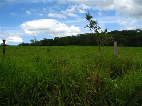 Filefazenda Em Montes Claros Mg Wikimedia Commons