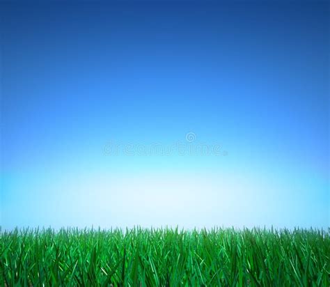 Landscape Green Grass Clear Blue Sky Stock Illustration