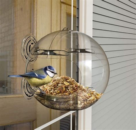 Peckish Window Bird Feeder Thirsk Garden Centre