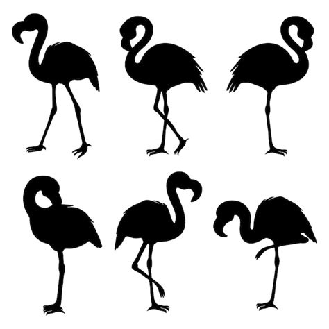 Premium Vector Flamingo Isolated Exotic Bird Silhouette Flamingo