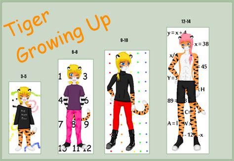 Tiger Life Cycle Chart