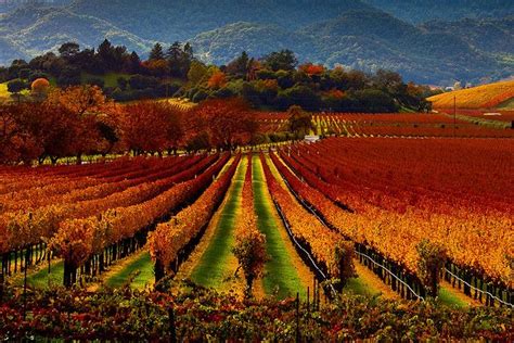 Best Places To Experience Fall In America On The List Napa Valley