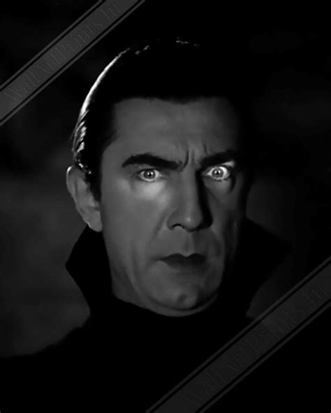 Bela Lugosi Dracula Poster Original Dracula Hypnotic Eyes Vintage