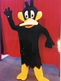Hire Daffy Duck (Mascot) Costume in Reservoir
