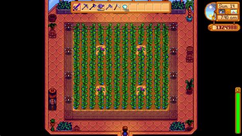 Steam trading cards and badges 2 guides. Steam Community :: Guide :: Stardew Valley 100% Achievement Guide | Stardew valley, Wild seed ...