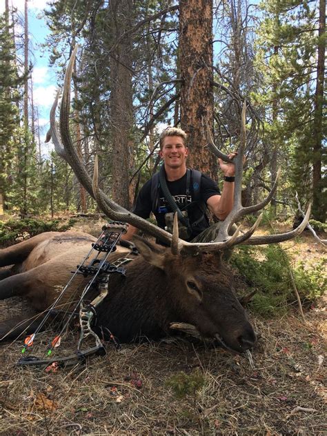 Free Range Archery Elk Hunts Colorado Guided Elk Bow Hunts