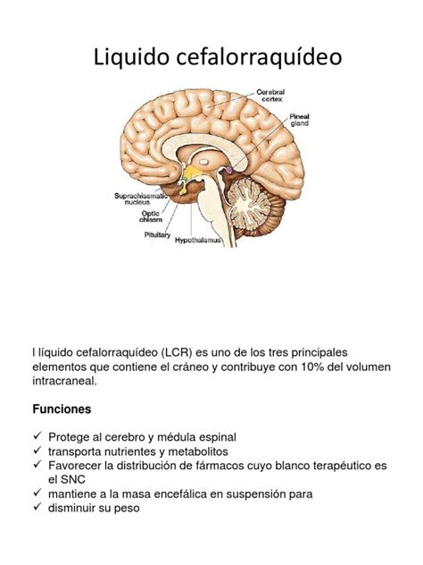 Liquido Cefalorraquídeo Pdf Fluido Cerebroespinal Sistema Nervioso Central