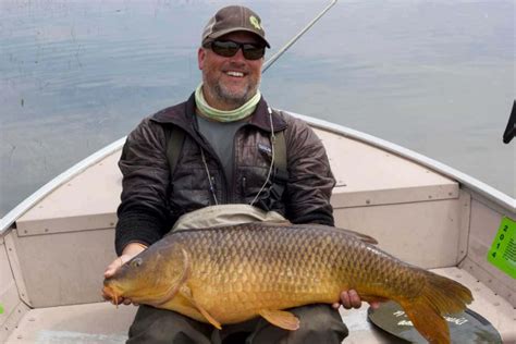 What Is The Biggest Carp Ever Caught Plus Where To Go Guide