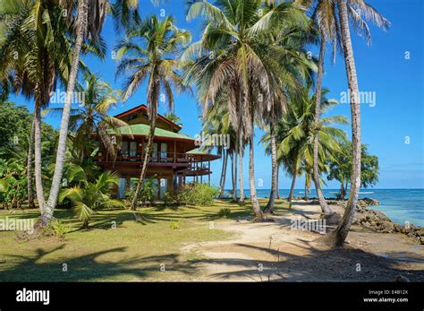 Tropical Beach House With Coconut Palm Trees On An Island In The