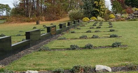 Cemetery Worker Dies After Being Buried Alive In Open Grave National