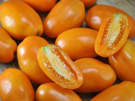 Orange Banana Tomato Juicy Tomatoes Ripe Tomatoes Heirloom Tomatoes