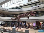 【中環好去處】免費睇恐龍展覽 12米長暴龍化石！ | 港生活 - 尋找香港好去處