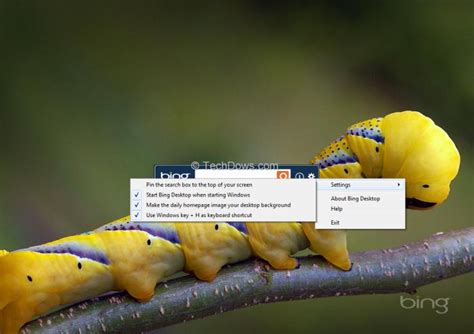 Free Download How To Set Bing Backgrounds As Wallpapers On Your Desktop