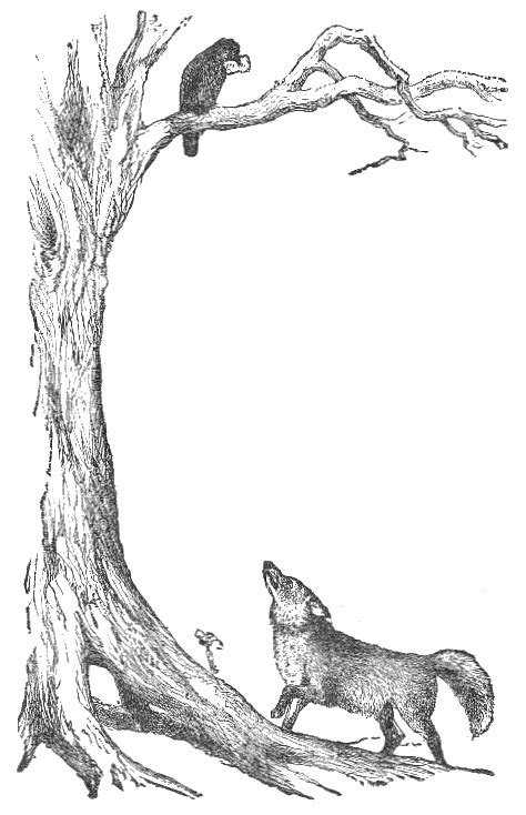 Aesops Fables 072 The Fox And The Crow