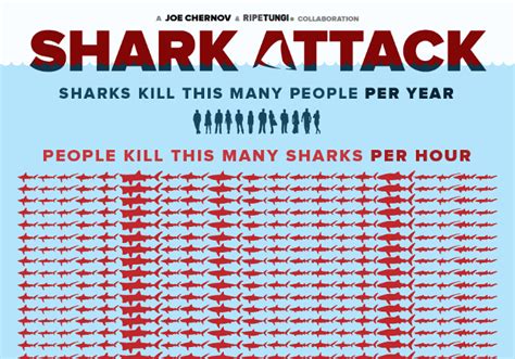 Infographic What We Are Doing To Sharks Indias Endangered