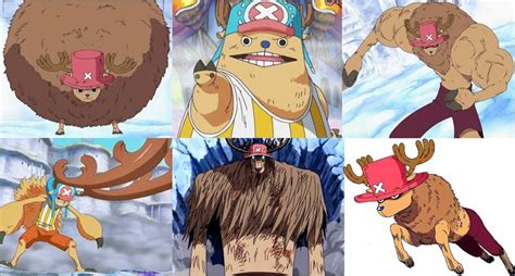 chopper 10 interesting facts about tony tony chopper one piece 2021