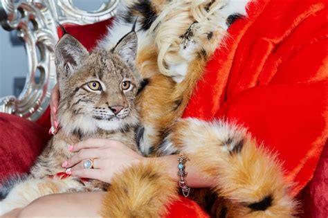 Top 7 most unusual pets you won't dare to keep | QuizzClub