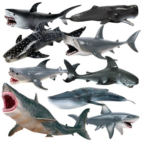 Good Product Low Price Buy Online Here Holl Sharks Model Simulation
