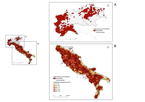 Monitoraggio Dei Lupi 2023 Lesperta Dellispra Aumenteremo Il