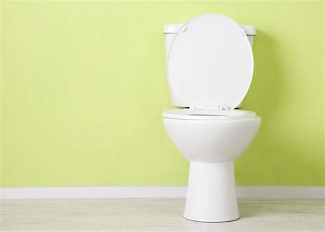 Environmentally Friendly Toilets For Your Home Yes There Are