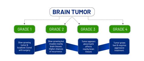 Brain Tumor Treatment Cost In Ludhiana Punjab Neuro Life Brain