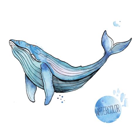 Premium Vector Vector Illustration Of Watercolor Whale
