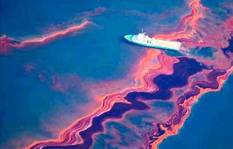 The Billion Dollar Catastrophe The Devastating Impact Of Oil Spills