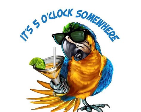 Drinking Parrot Decal Full Color Parrot With Sunglasses Holding A