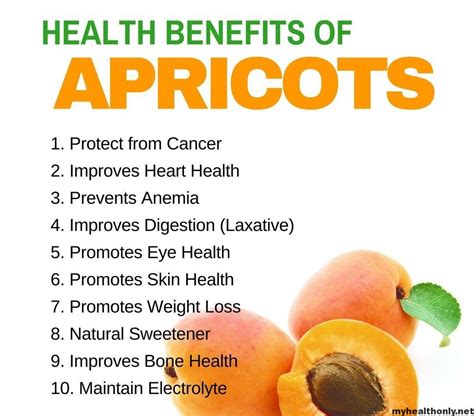 14 Incredible Health Benefits Of Apricots My Health Only
