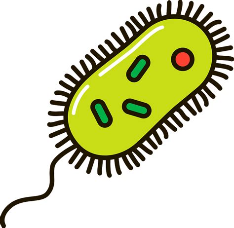 Bacteria Clipart Free Download Transparent Png Creazilla